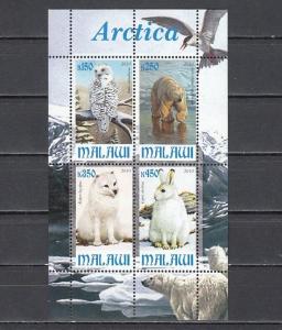 Malawi, 2010 Cinderella issue. Antarctica Fauna, Owl shown on a sheet of 4.