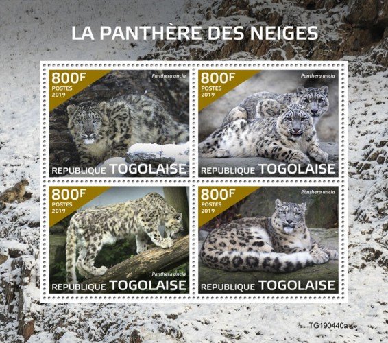 TOGO - 2019 - Snow  Leopard - Perf 4v Sheet  - M N H