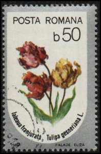 Romania 3380 - Cto - 50b Tulips (1986)