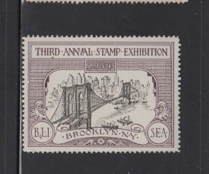 USA Advertising Stamp - 1934 Brooklyn NY Stamp Exhibition - MNH