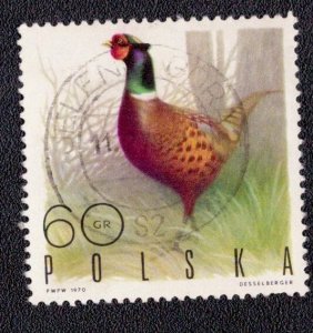 Poland - 1721 1970 Used