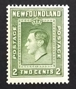 Newfoundland 245 F-VF MH