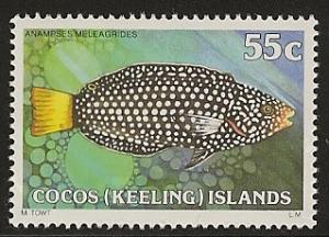 Cocos Islands fish mnh  s.c.# 47