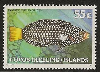 Cocos Islands fish mnh  s.c.# 47