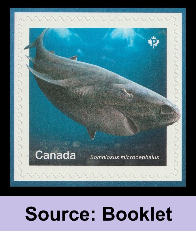 Canada 3106-3110 Sharks P set 5 B (from booklet) MNH 2018