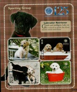 Antigua & Barbuda Sporting Group Labrador Retriever