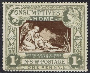 NEW SOUTH WALES 1897 QV CHARITY 1/-
