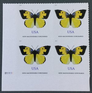 US #5346 MNH Plate Block of 4 Butterfly California Dogface (.70)