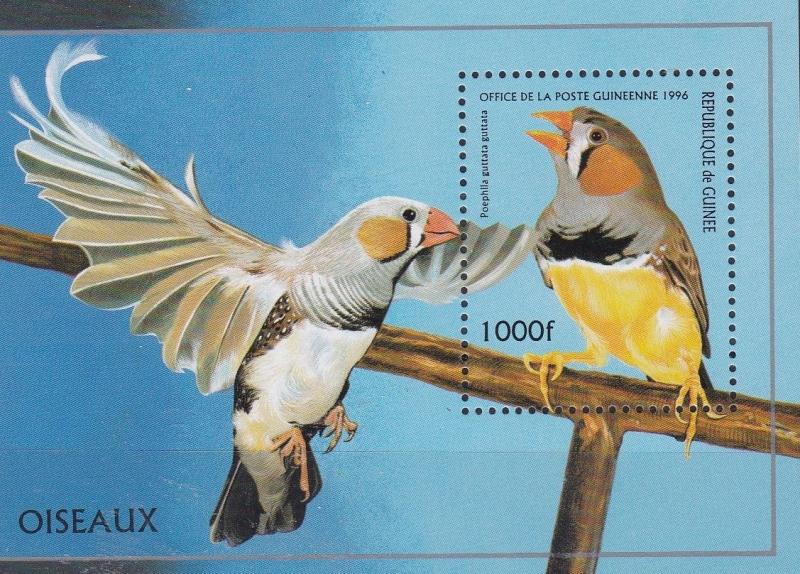 GUINEA  1966  BIRDS M/SHEET M / N / H 