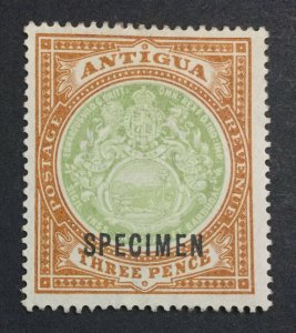 MOMEN: ANTIGUA #35s SPECIMEN CROWN CC MINT OG H £ LOT #6884