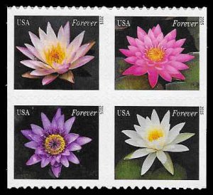 PCBstamps  US #4964/4967a Bk Block $1.96(4x{49c})Water Lilies, MNH, (8)