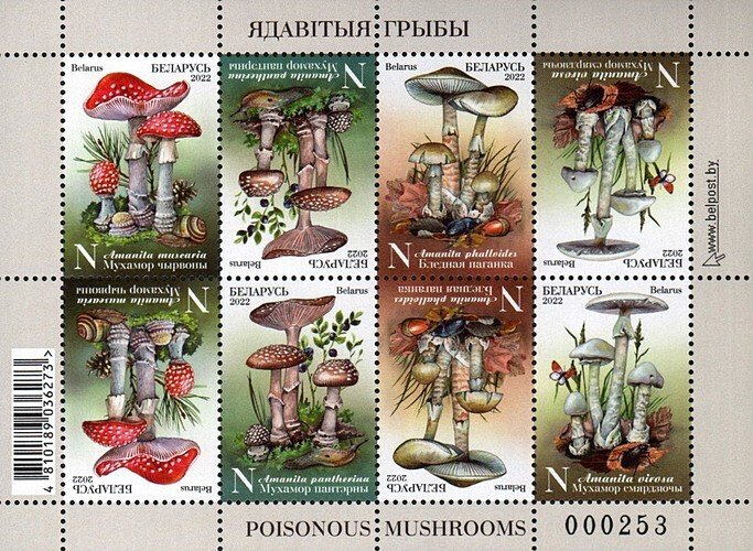 Belarus / Wit-Rusland - Postfris/MNH - Sheet Mushrooms 2022