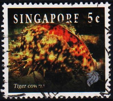 Singapore. 1994 5c S.G.742 Fine Used