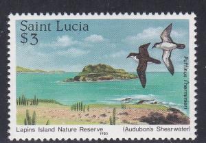 St. Lucia # 773,  Audubon's Shearwater, Birds, Mint NH, 1/3 Cat.