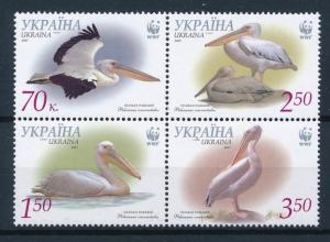 [53518] Ukraine 2007 Birds Vögel Oiseaux WWF Pelicans Perf. 14:14 1/4 MNH