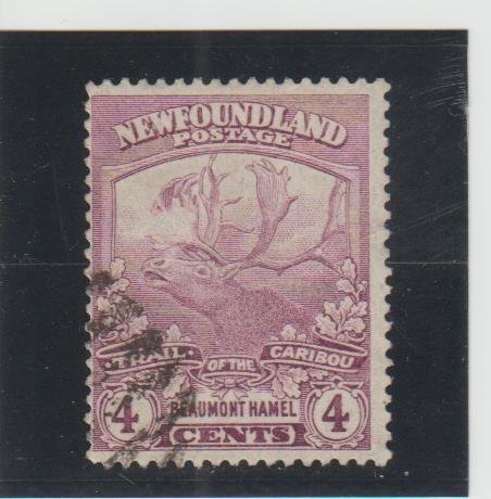 Newfoundland  Scott#  118  Used  (1919 Caribou)