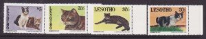 Lesotho-Sc#989-92- id9-unused NH set-Domestic cats-Animals-1993-