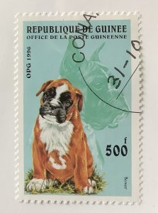 Guinea 1996 Scott 1345 CTO -  500fr, Dogs,  Boxer