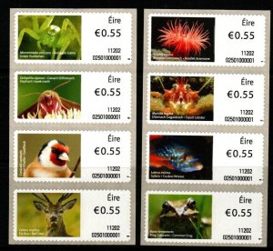 IRELAND SGM19/26 2011 ANIMALS AND MARINE LIFE MNH