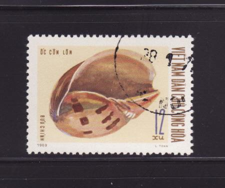 North Vietnam 581 U Sea Shell