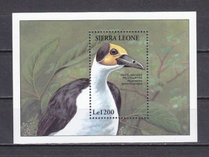 Sierra Leone, Scott cat. 1740. White Necked Bird s/sheet.