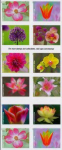 2021 55c Flower & Garden Beauty, Rokach, Booklet of 20 Scott 5558-5567 Mint NH