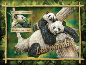 GUINEA 2016 SHEET PANDA BEARS WILDLIFE