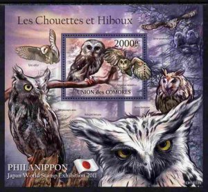 COMORO ISLANDS - 2011 - Owls - Perf Souv Sheet #2 - MNH - Private Issue