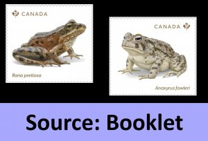 Canada 3421-3422 Endangered Frogs P set 2 (from booklet) MNH 2024