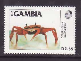 Gambia-Sc#541- id8-unused NH 2.35d Fiddler Crab-Marine Life-1984-