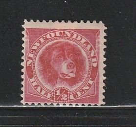 Newfoundland 57 MH Animals, Dog (B)