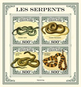 Togo 2021 MNH Snakes Stamps Banded Kraite Grass Snake Coronella Reptiles 4v M/S