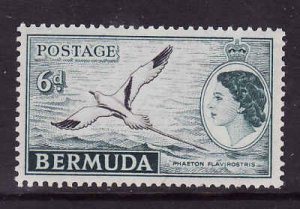 Bermuda-Sc #152-unused NH-6p dk bluish grn & blk-QEII-Tropic Bird-1953-8-