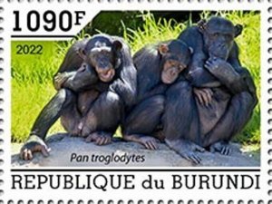 Burundi - 2022 Chimpanzees on Stamps - Stamp - BUR2201027a