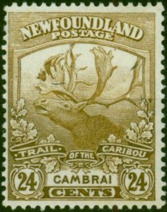 Newfoundland 1919 24c Bistre-Brown SG140 Fine & Fresh MM