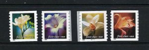 US Scott # 3462 - 3465 / Coil Set of Four Singles ND (.34) Flowers, 2000 MNH