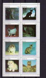 Equatorial Guinea 1976  Domestic Cats Sheetlet (8) Perforated MNH VF