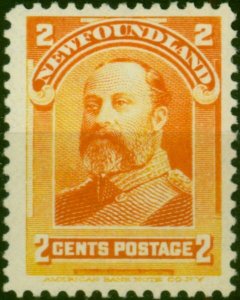 Newfoundland 1897 2c Orange SG86 Fine MM (2)