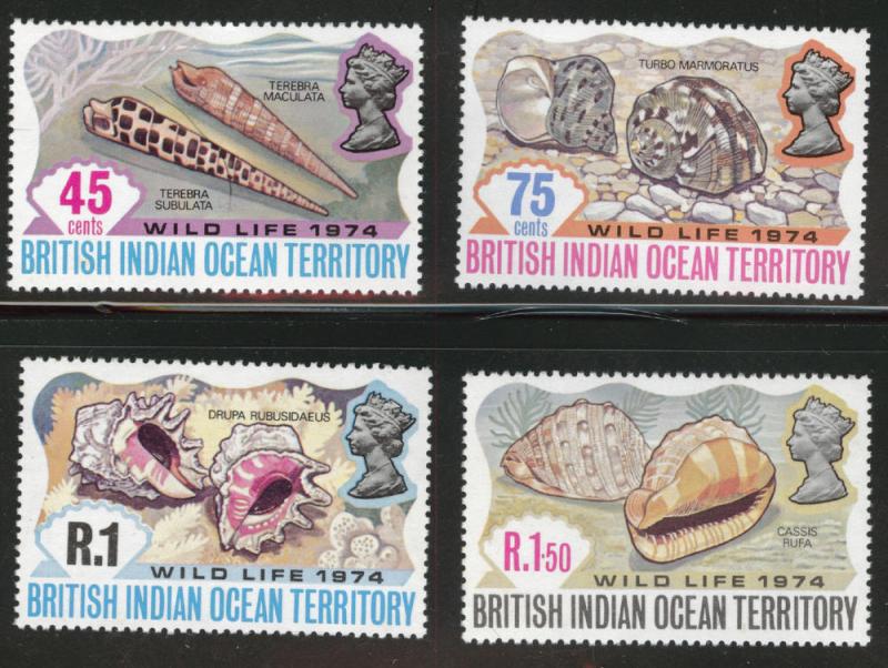 British Indian Ocean Territory Scott 59-62 MNH** shell set