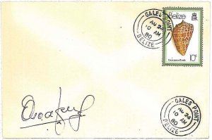 28710 - BELIZE - Postal History - COVER from GALES POINT  1980