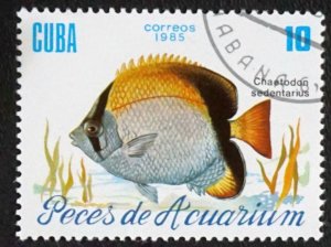 CUBA Sc# 2814  TROPICAL FISH Marine Life  10c  1985 used cto