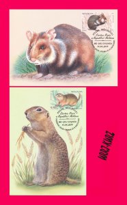 MOLDOVA 2019 Nature Fauna Animals Mammals Rodents Hamster Gopher Maxicards Cards