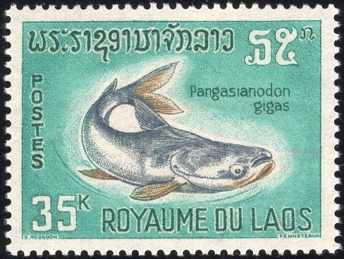 Laos 149 - Mint-NH - 35k Giant Catfish (1967) (cv $1.70)