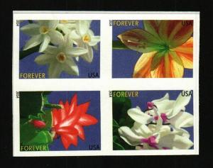 2014 49c Winter Flowers, Booklet Block of 4, Imperforate Scott 4862-65c Mint NH