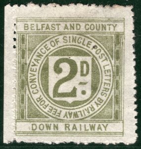 GB Ireland RAILWAY QV Letter Stamp 2d BELFAST COUNTY DOWN (1891) Mint MNG BRW13