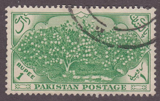 Pakistan 71 Cotton Plantation 1954