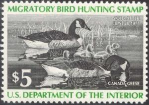 RW43, Canada Geese DUCK STAMP VF OG NH - LOW PRICE!