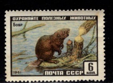 Russia - #2430 Beaver - MNH