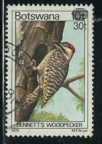 Botswana 290 Used 1981 Woodpecker (fe5902)