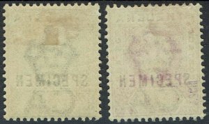 ST HELENA 1902 KEVII 1/2D AND 1D SPECIMEN SET